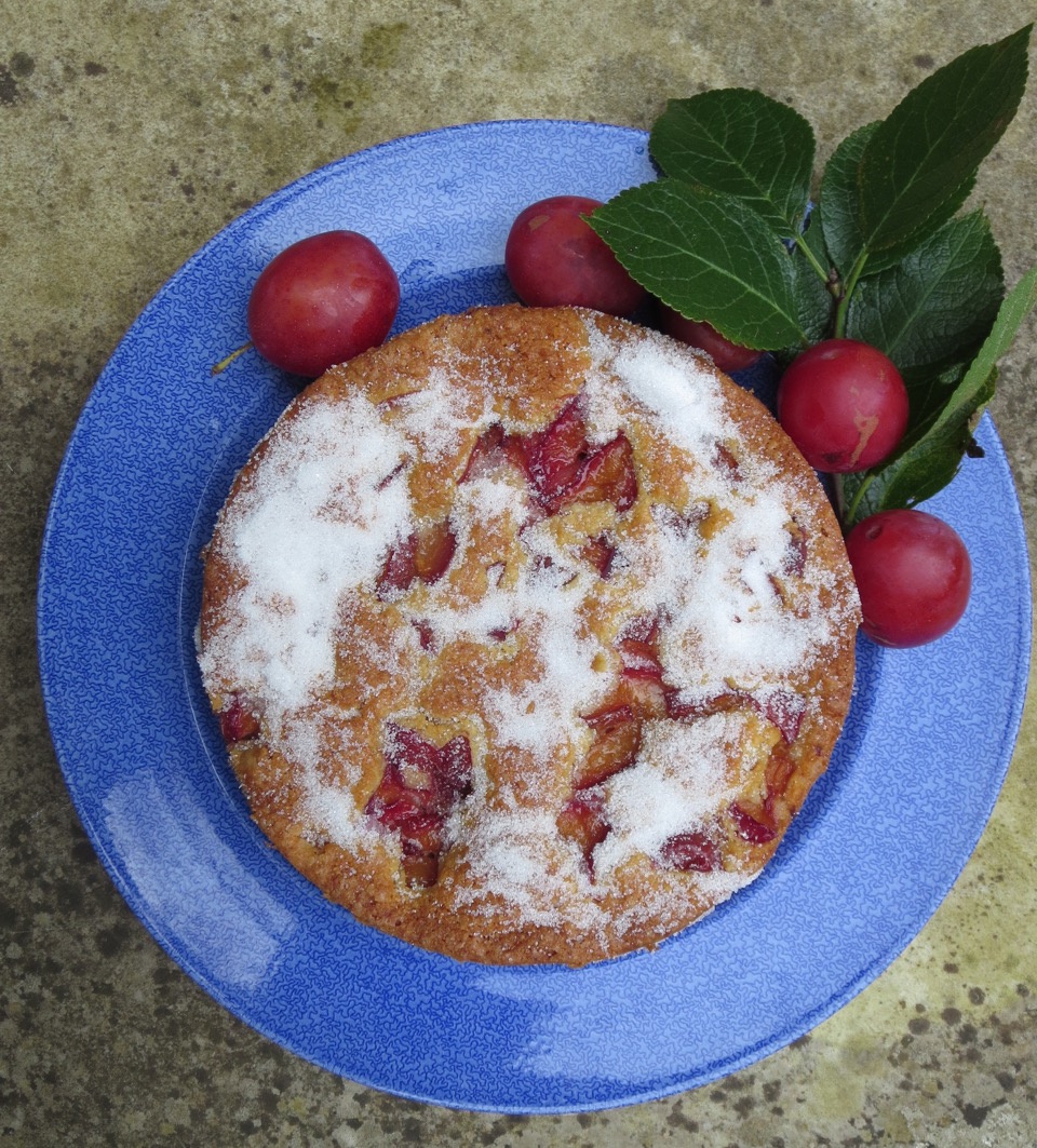 Plum cake The Allotment Kitchen