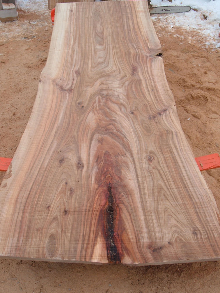 Howstuffworks.com contributors one thing you have to remember about starting. âUlmus Rubraâ Fallen Giant Reclaimed as Urban Lumber