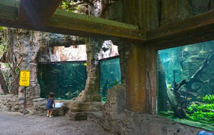 Bali Safari & Marine Park - Bali Destiny Travel