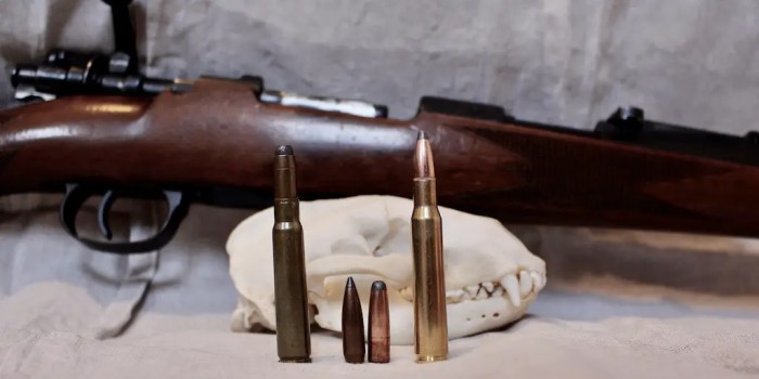 7mm mauser vs 30 06