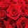 Make Valentine's Day Plans and We'll Tell You Which Oscar Best Picture Nominee You Are!