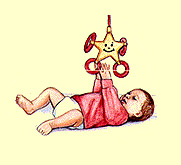 wallpapers Sensorimotor Stage the brain from top to bottom
