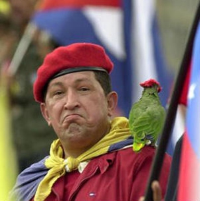 chavez-parrot chavez-parrot