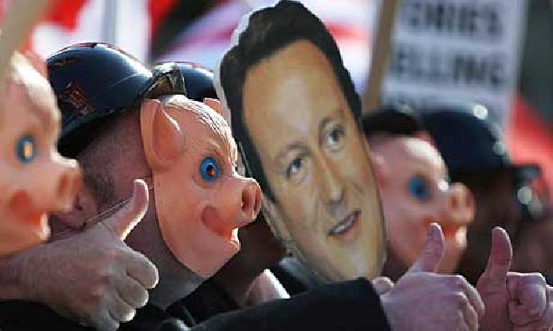 cameronpigs