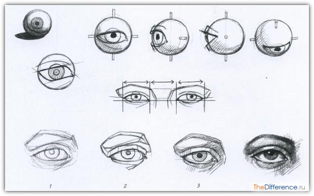 как срисовывать с фотографии людей