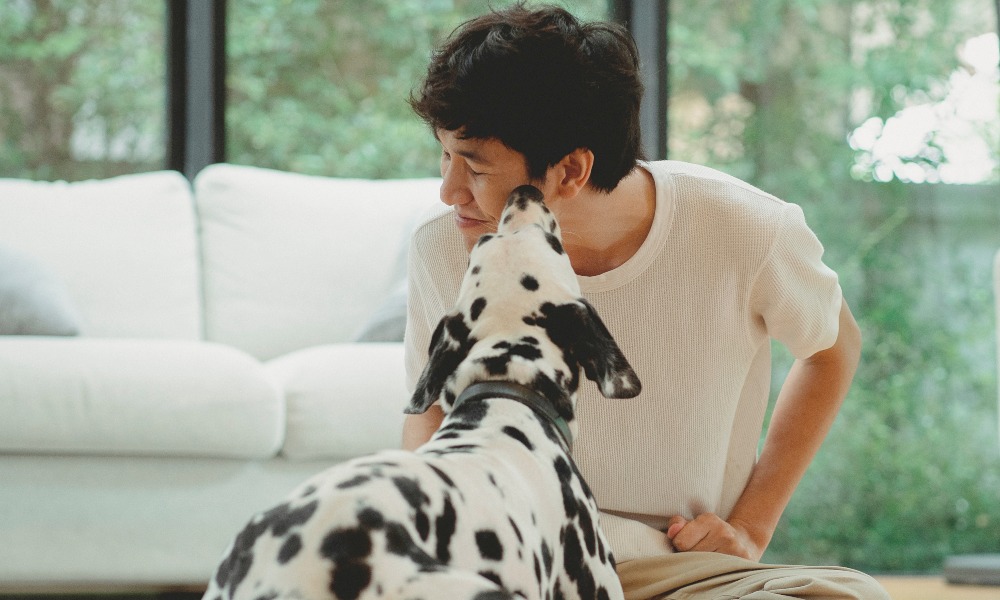 7 Reasons You Might Not Know Why Does a Dog Lick Your Face Story