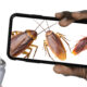 Addressing the Information Disorder: Building Collaboration