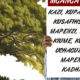 Kenya: On the Cusp of Great Change?