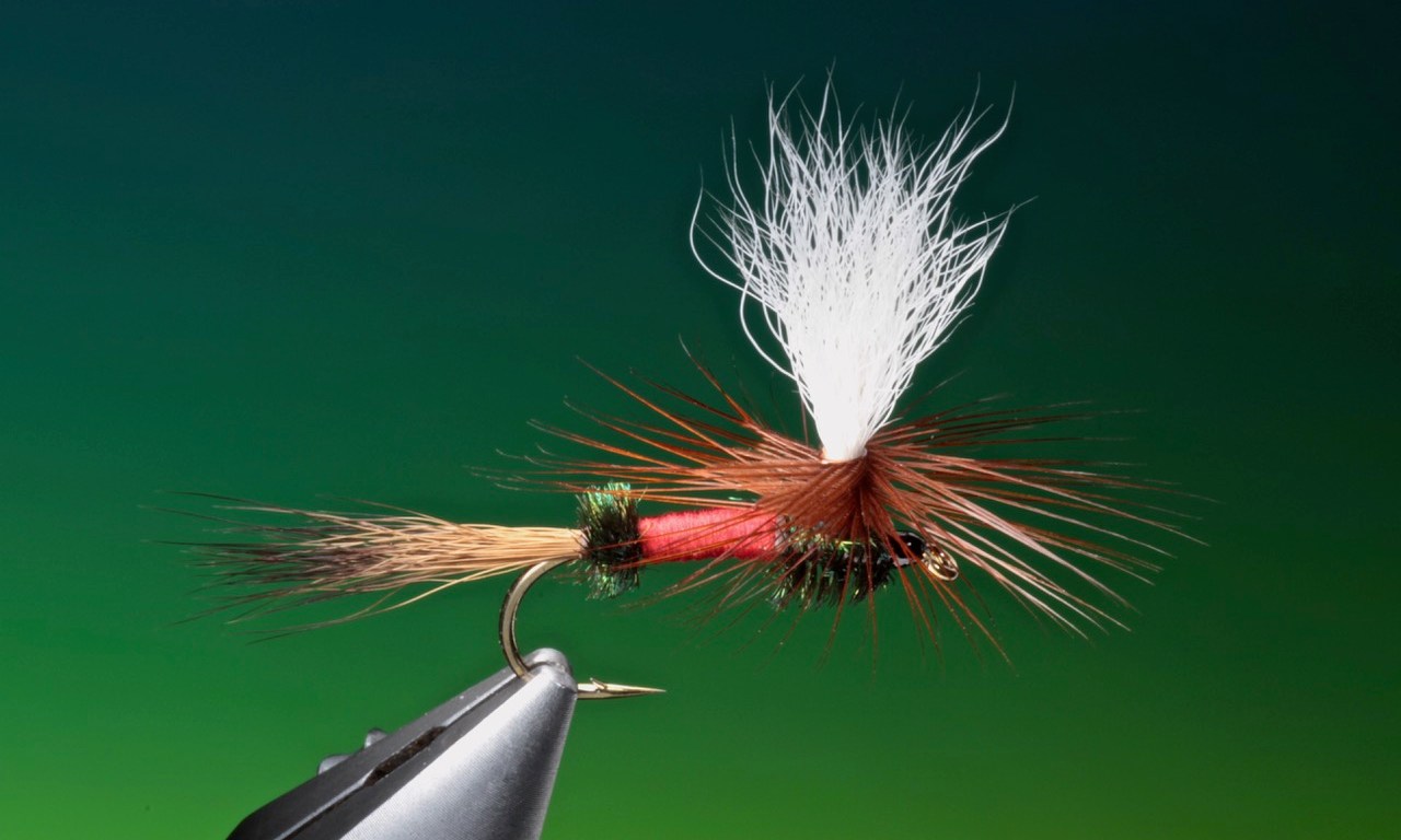 parachute-royal-wulff-dry-fly