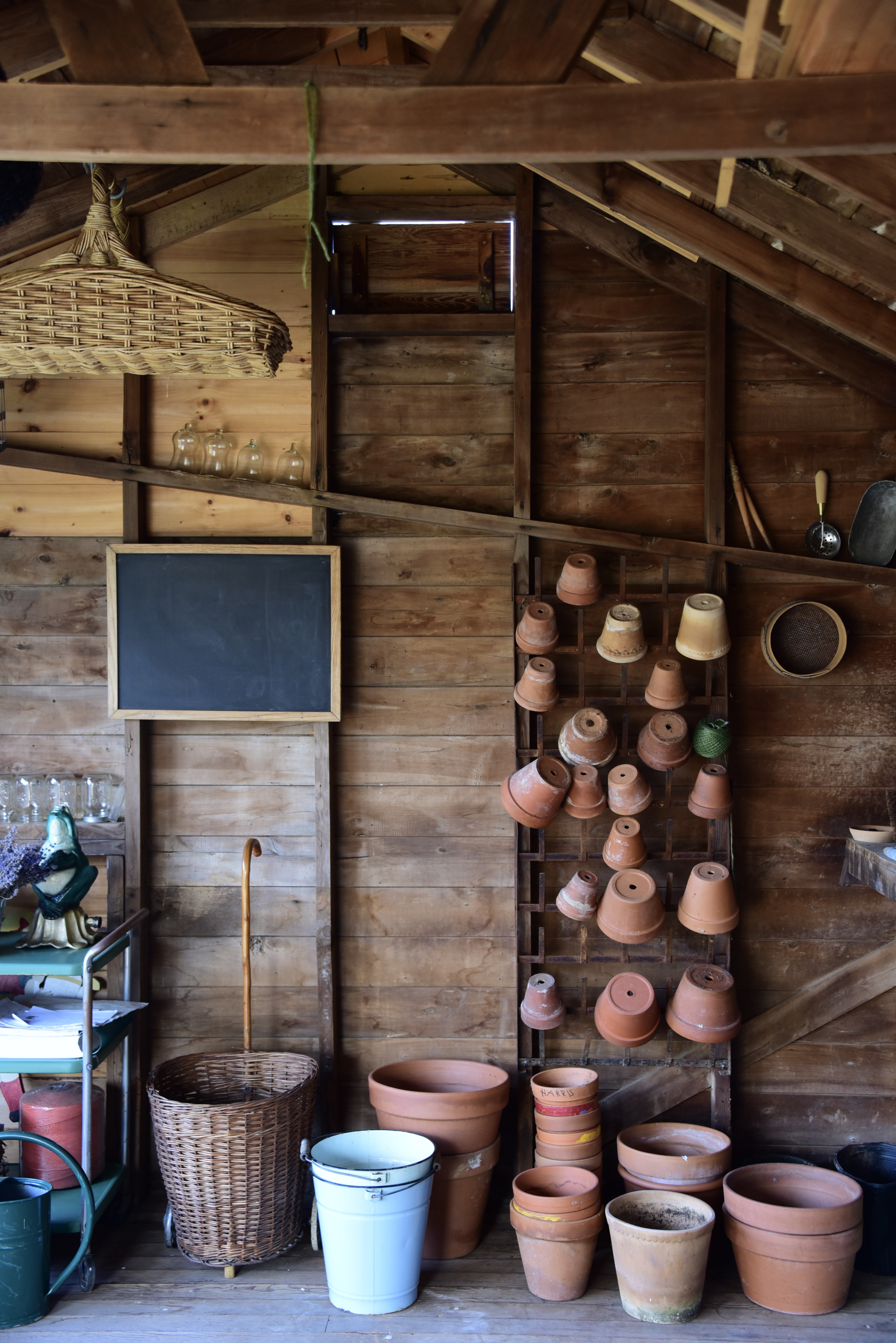 Inside The Shed