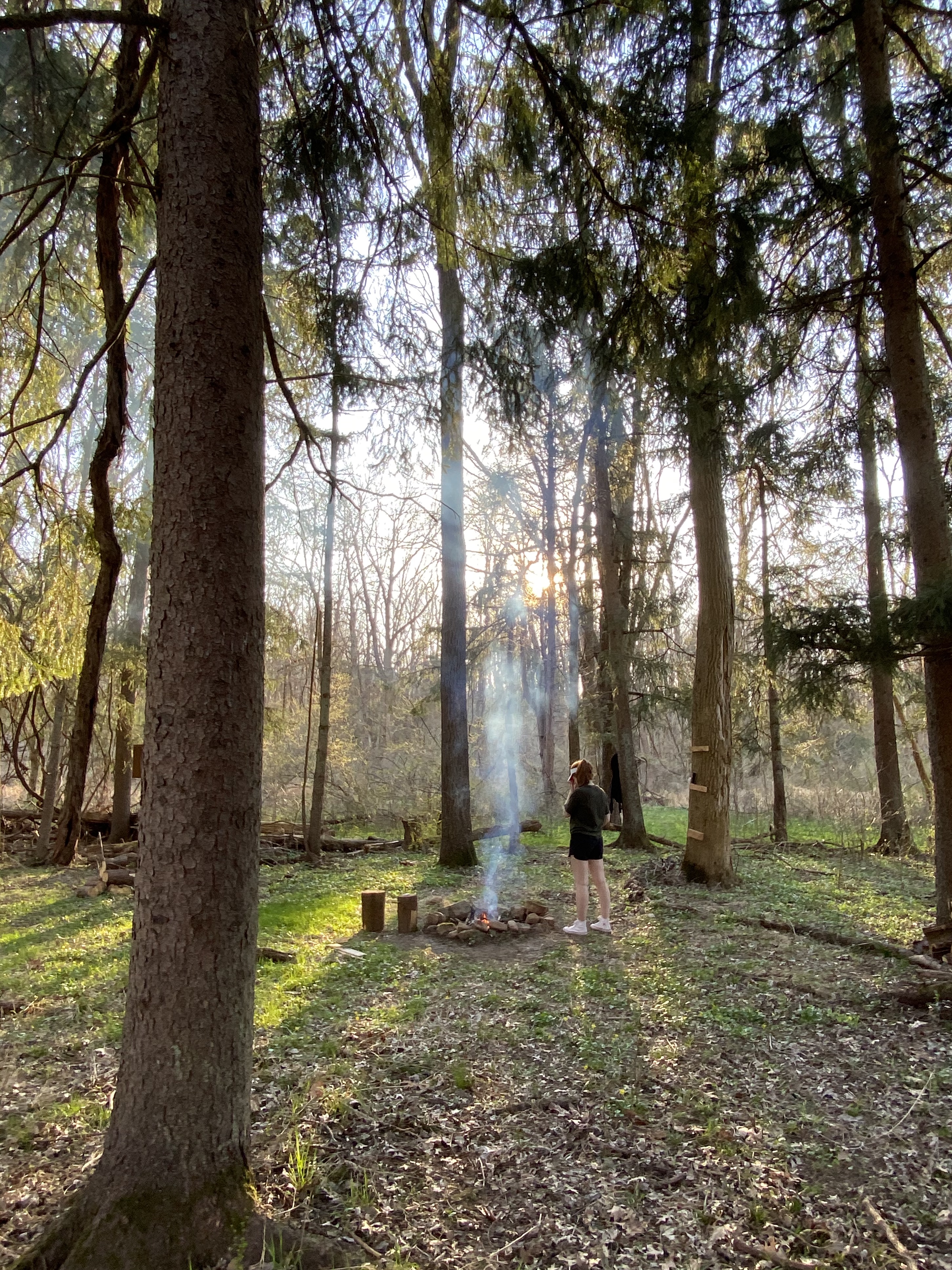 Into the Woods