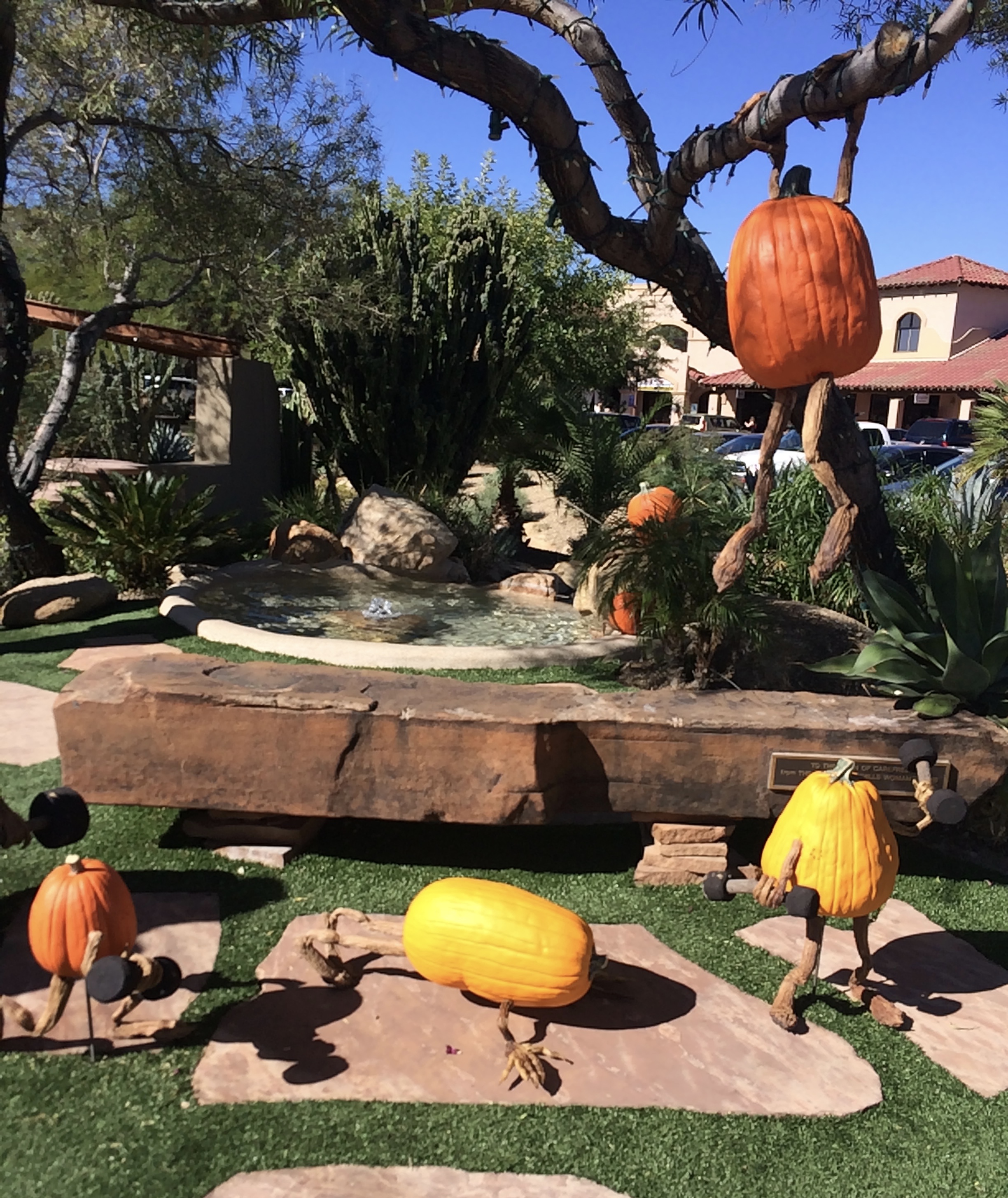 Enchanted Pumpkin Garden Carefree Arizona It’s a Free