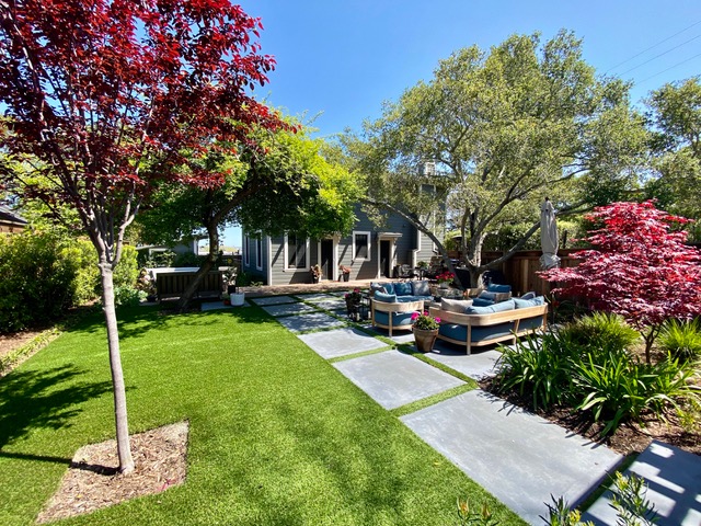 310 Redwood Ave Yard