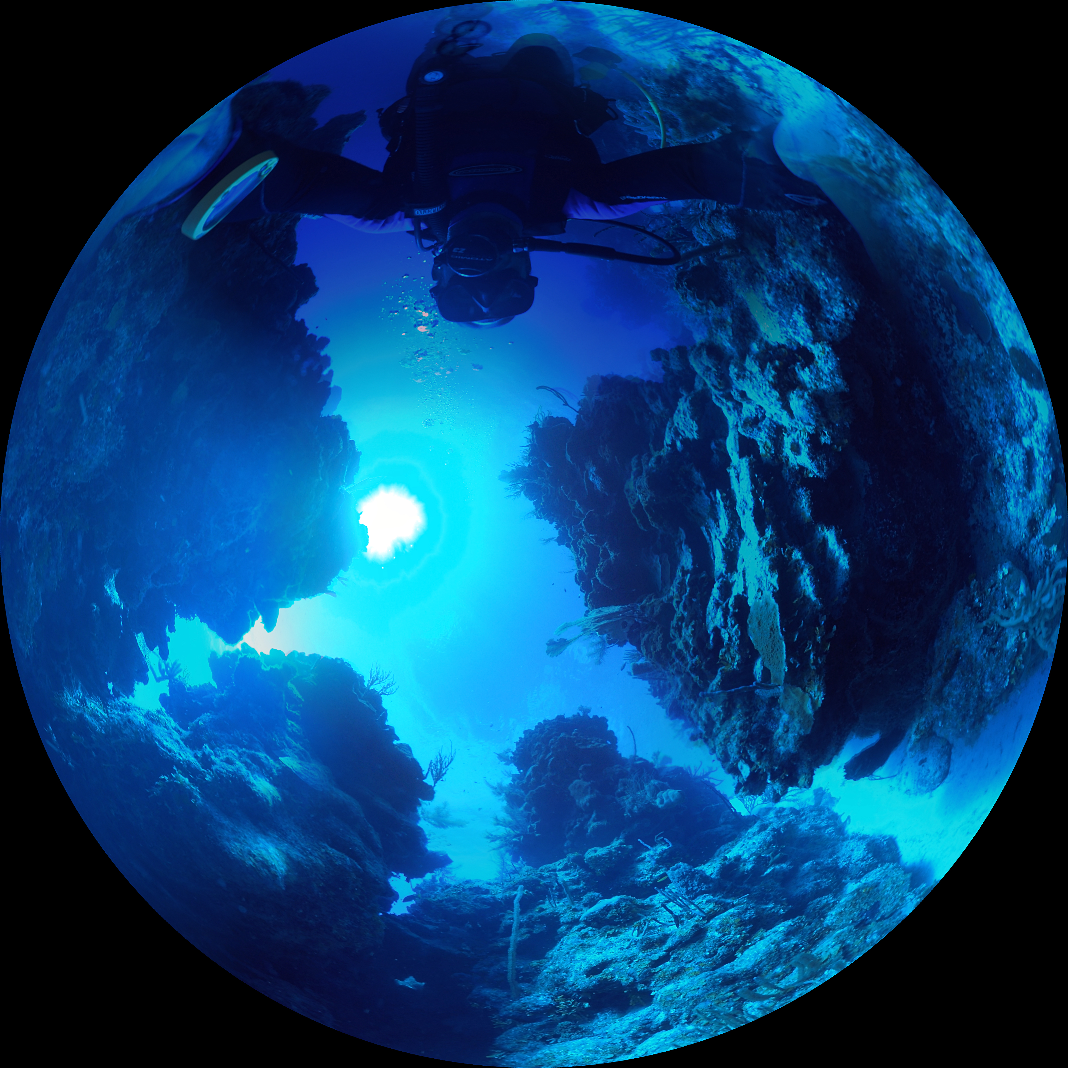 thereefsofbelize_005218