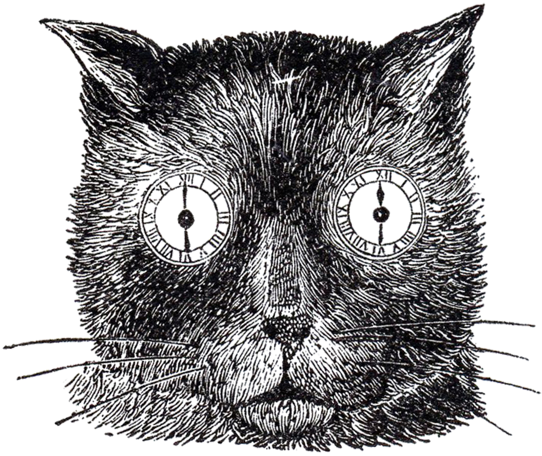 New users enjoy 60% off. 14 Black Cat Clipart Halloween The Graphics Fairy