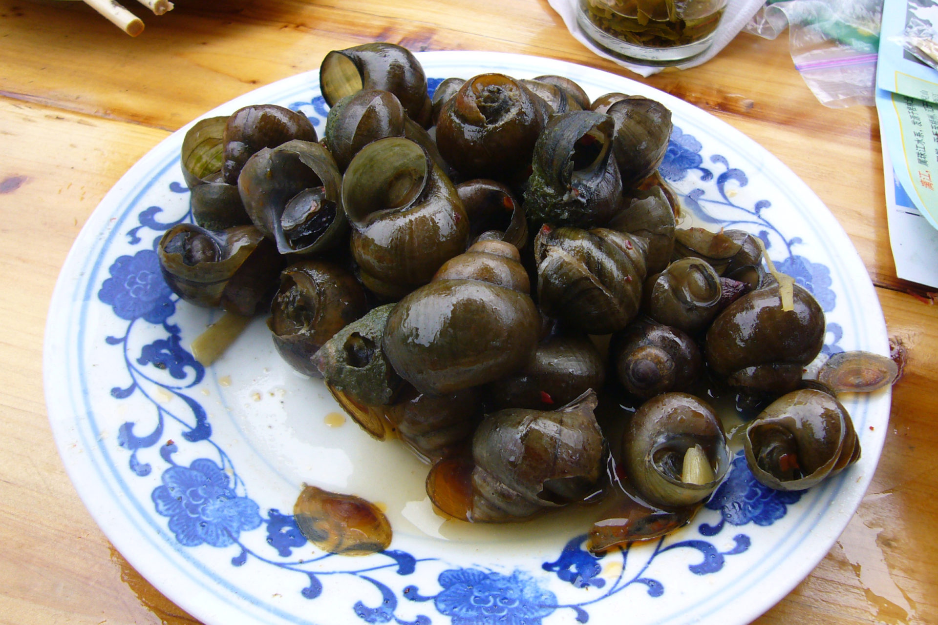 Cooked_snails The Incredibly Long Journey