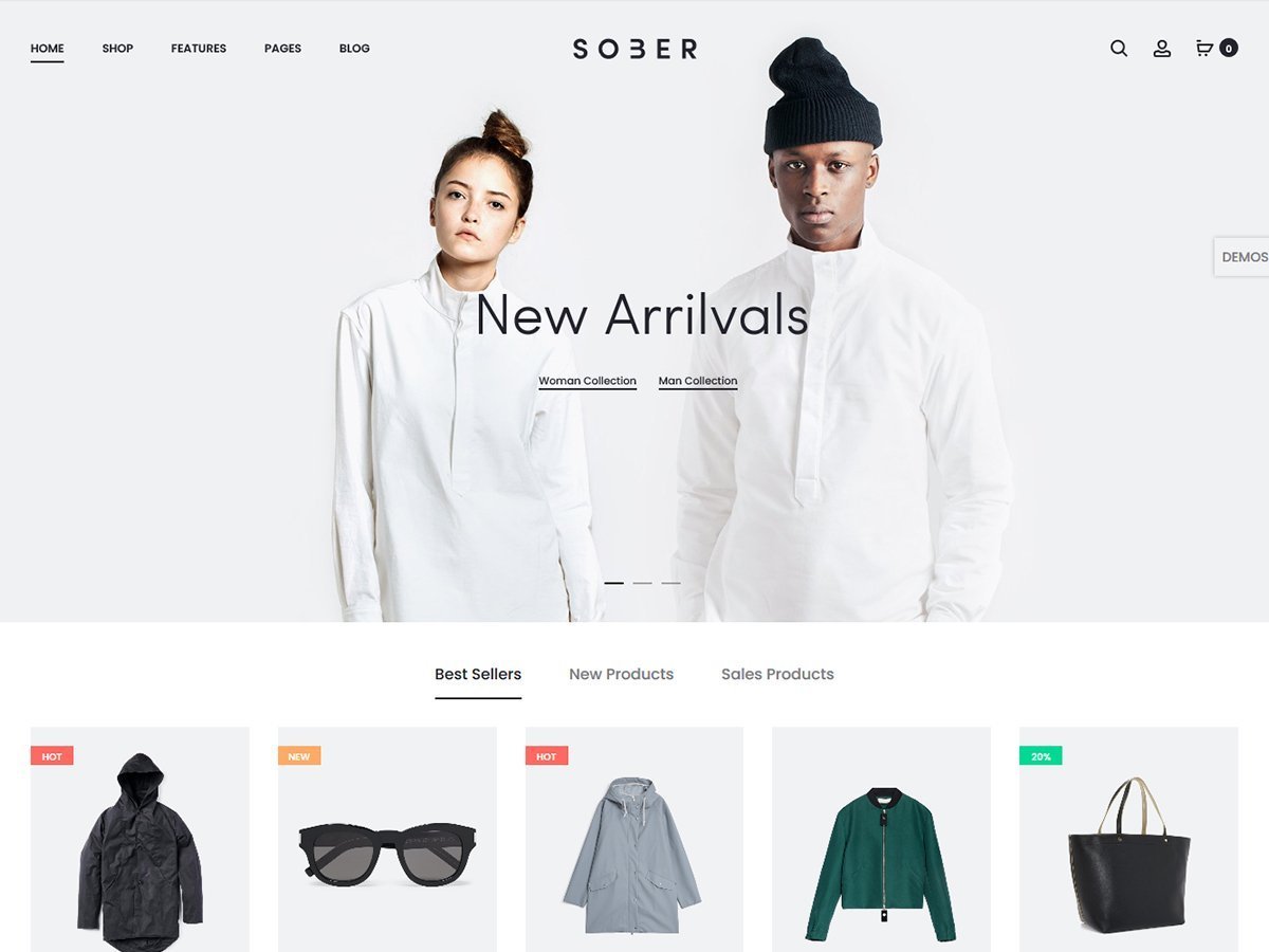 W3 total cache · 4. 25 Best Premium Ecommerce Wordpress Themes 2019 Theme 404