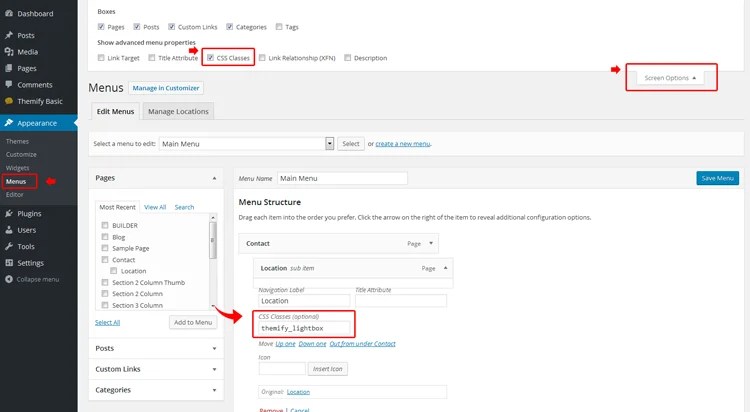 That code could also be included in a custom plugin if desired. Custom Menus • Themify