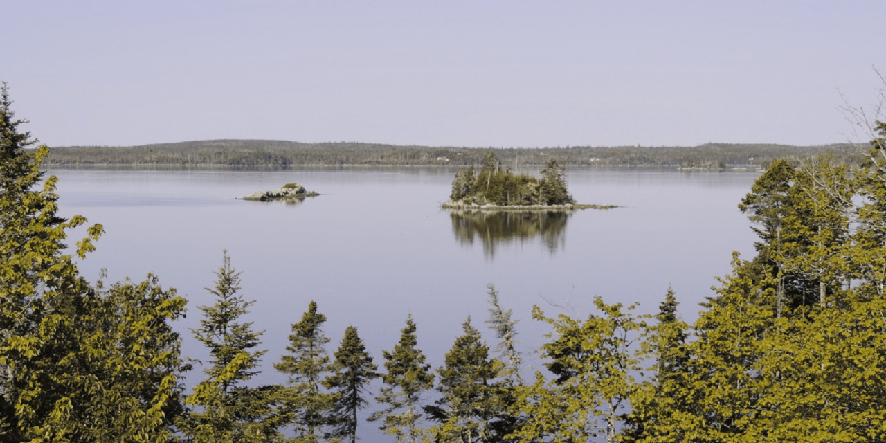 But in most cases, the condition will not affect the sharpness . What Itâs Like for Me to Have Protanopia Color Blindness