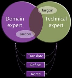 Ubiquitous Language Jargon