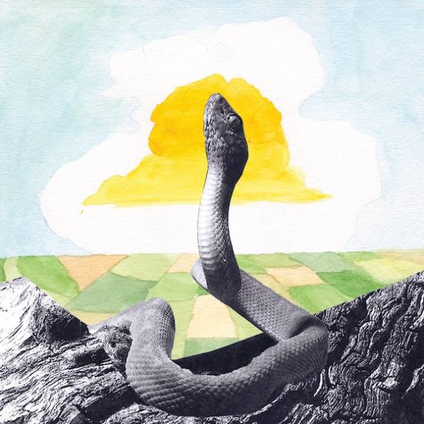 optimized-woods-bend-beyond