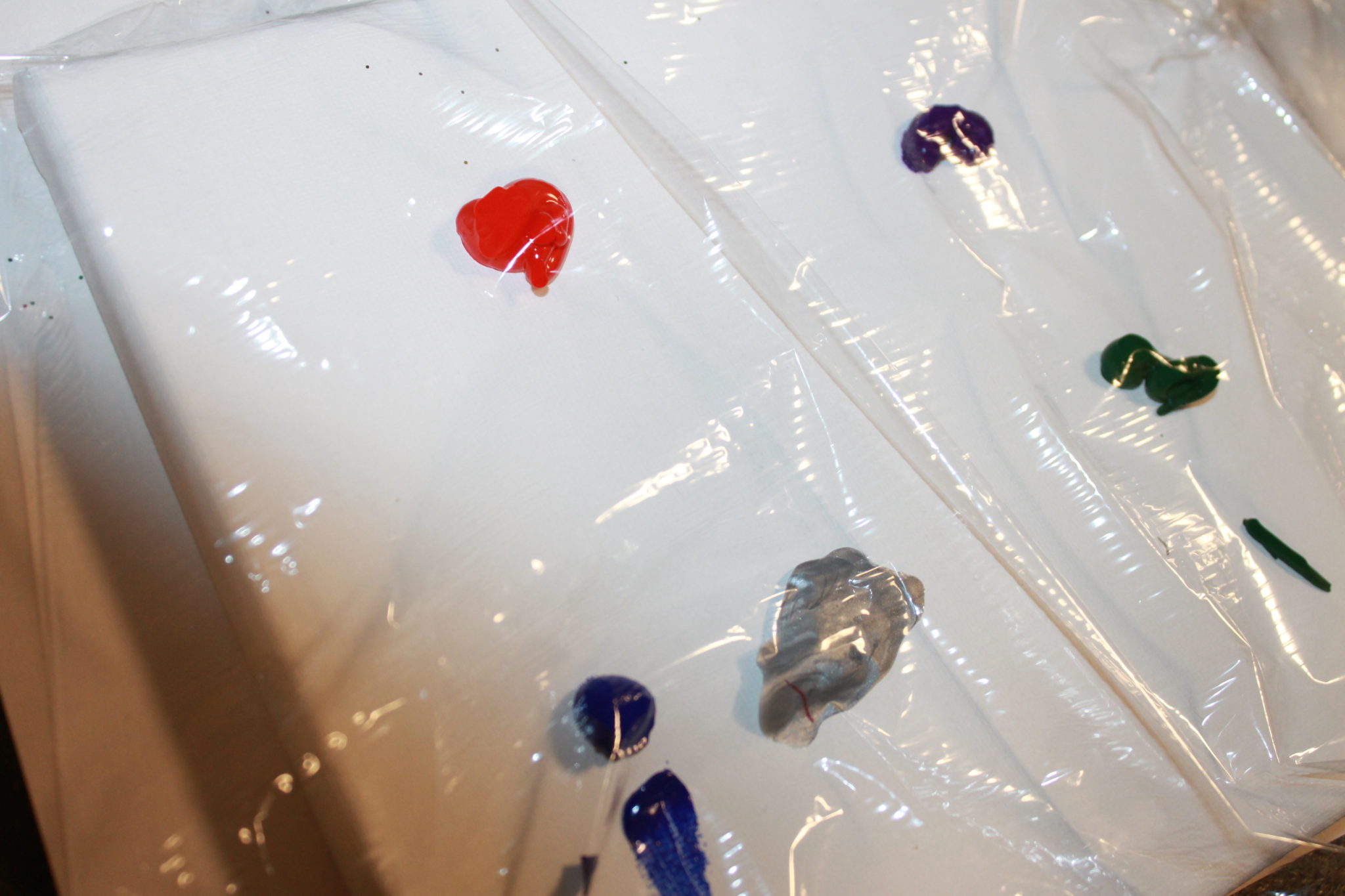 Saran Wrap Canvas Art The Pinterested Parent