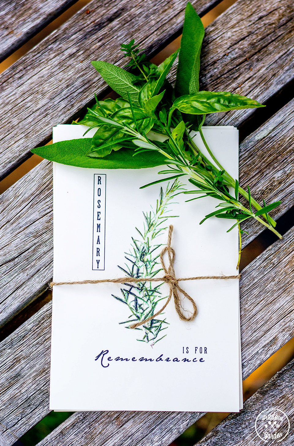 free printable herb cards