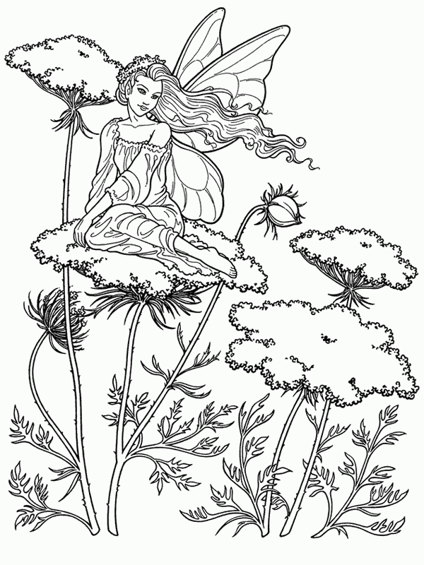 pyrography patterns for beginners free resources for 2022