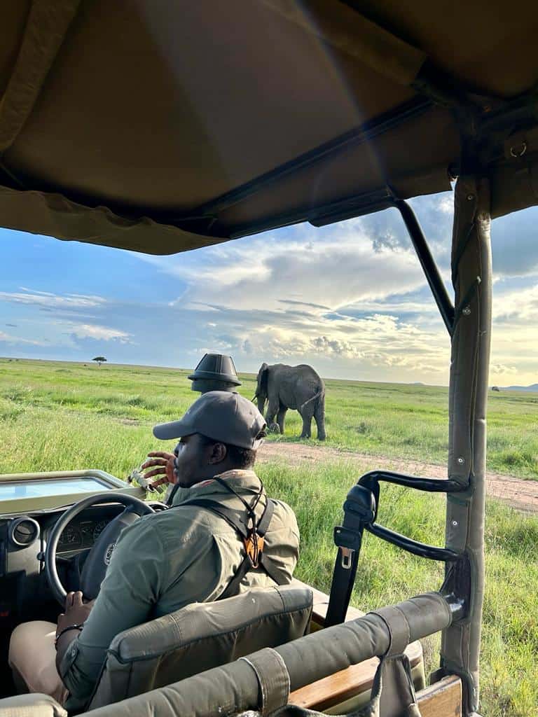 7 safari tips to know