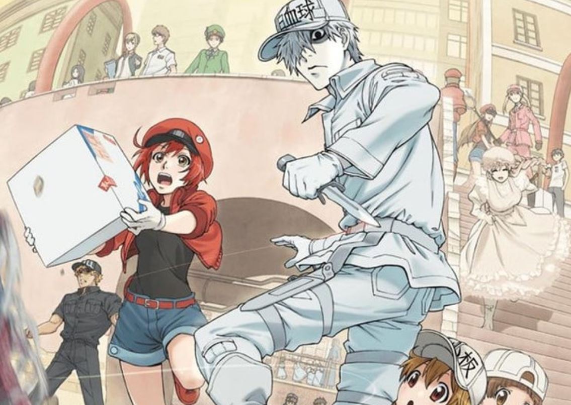 You Should Be Watching Cells At Work The Science Of