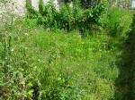 Cut down some weeds and see your situation differently. Get to it!