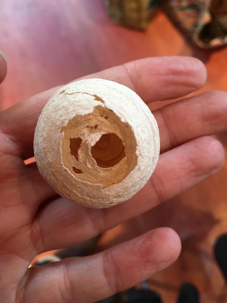 cercles dans la nature