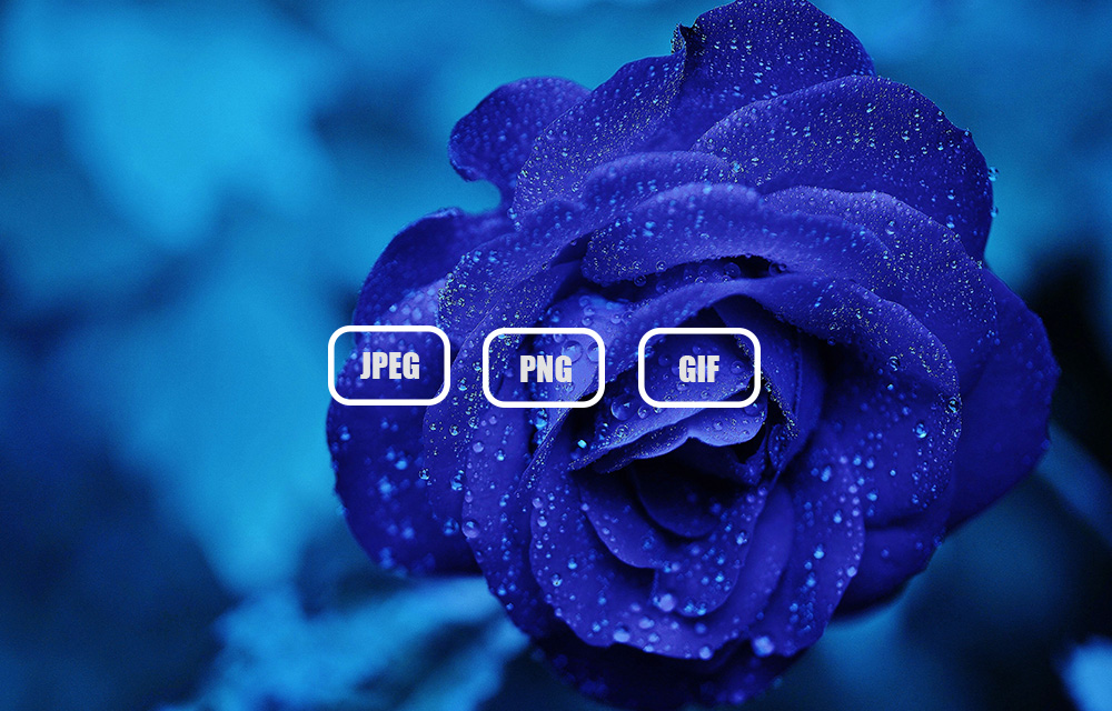 10 Best Image Formats