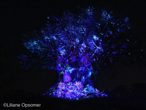 Animal Kingdom Nighttime Entertainment - The Unofficial Guides