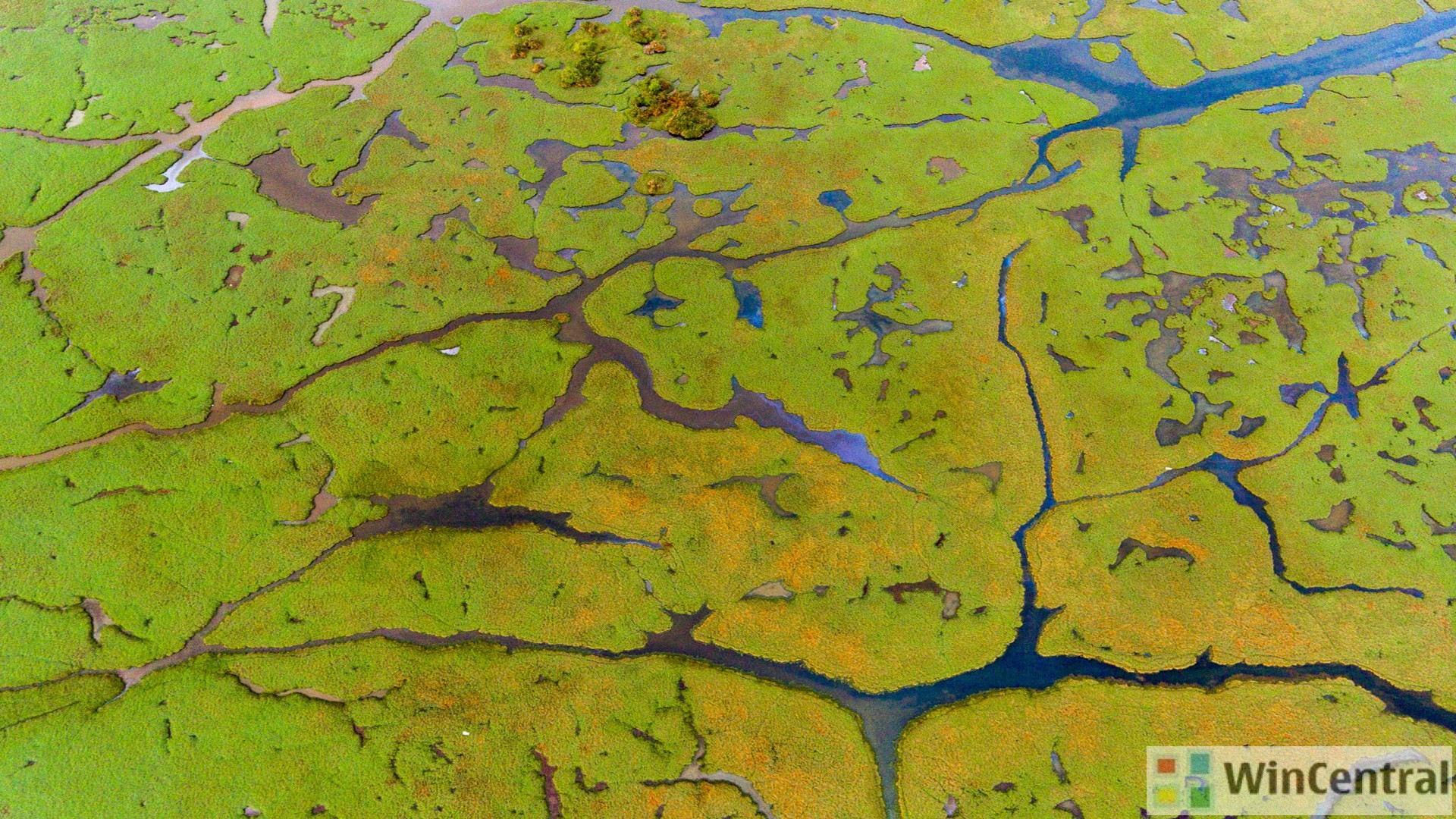 [Download] A new theme 'River Delta PREMIUM' is now available in ...