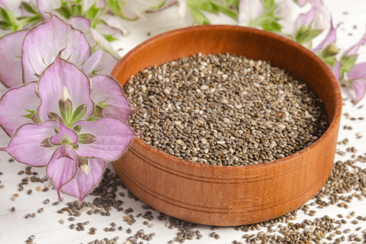 Four Health Benefits of Chia Seeds The Wise Consumer