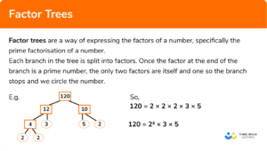 factor trees gcse maths steps examples worksheet