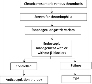 45++ Superior mesenteric vein thrombosis guidelines