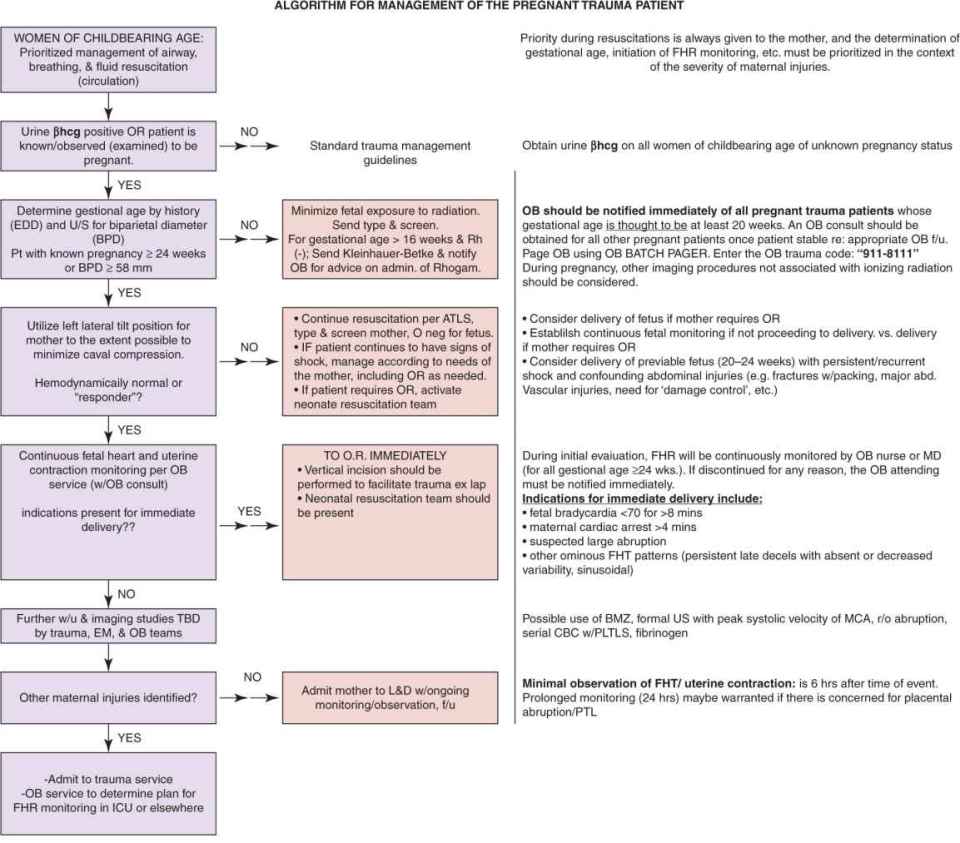 Trauma In Pregnancy Algorithm Trauma in Pregnancy | Thoracic Key