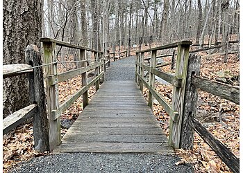 In the metric system, an ampere is the unit for measuring and representing electric current. 3 Best Hiking Trails In Boston Ma Expert Recommendations