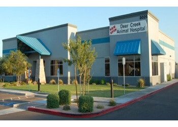 Lukas vering / eyeem / getty images sweet and refreshing, cantaloupe is a favorite summer frui. 3 Best Veterinary Clinics in Phoenix, AZ - ThreeBestRated