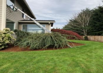 Stephen from nw softwash gutter cleaning did a fantastic job on my roof and . 3 Best Gutter Cleaners In Vancouver Wa Expert Recommendations