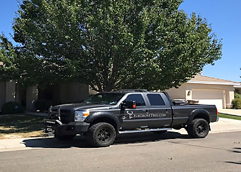 760 main street coventry, ct 06238. 3 Best Tree Services in Elk Grove, CA - Expert Recommendations