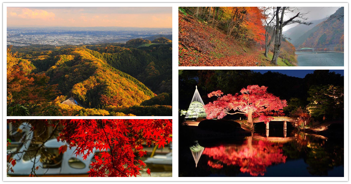 日本賞楓,東京賞楓,日本賞楓時間,東京銀杏時間,日本賞楓自由行,東京賞楓景點,高尾山,高尾山登山,高尾山一日遊,小石川後樂園,後樂園東京,高尾山楓葉,六義園,奧多摩湖,日本楓葉時間,關東楓葉,東京楓葉,關東楓葉景點,東京賞楓,東京,日本,關東,東京賞楓2023,東京賞楓時間2023,東京賞楓時間,東京賞楓行程,東京賞楓自由行,東京賞楓地點,東京賞楓團,東京賞楓住宿,東京賞楓季節,關東楓葉,關東楓葉2023,關東楓葉時間,關東楓葉景點,日本賞楓行程,日本賞楓行程推薦,日本賞楓時間2023,日本賞楓,日本賞楓團,日本賞楓2023,日本賞楓團推薦,日本賞楓自由行,日本賞楓秘境,日本賞楓團2023,日本賞楓推薦,日本賞楓景點