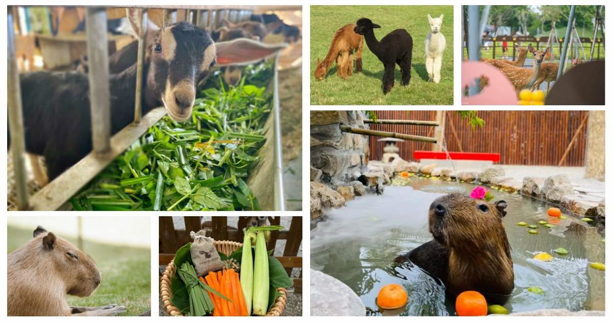 暑假親子旅遊推薦