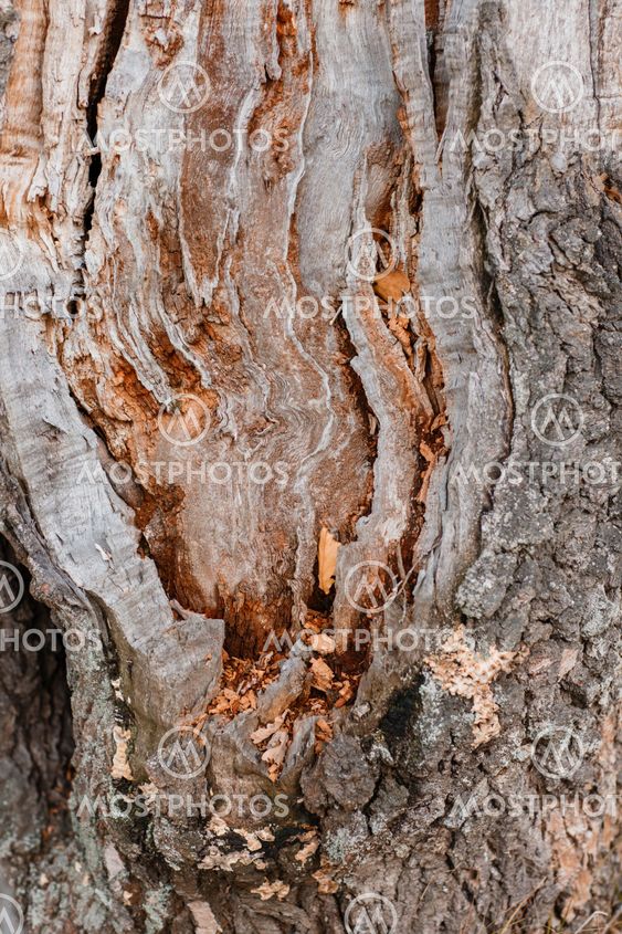 Rustic wooden texture 1 natural wood furniture, rustic wood furniture, . Old Rough Wood Texture Woo By Konstantin Malkov Mostphotos