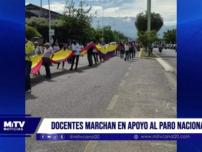 Docentes marchan en apoyo la consulta popular