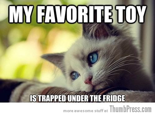 Here are our faves that are sure to appeal to fans of sailor moon, pokemon, dbz, and other series. Sad Cat Is Sad: 25 Hilarious First World Problems Cat Meme