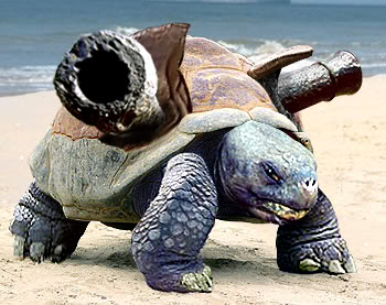The human sacrificed himself, to save the pokemon. Blastoise (Realistic).