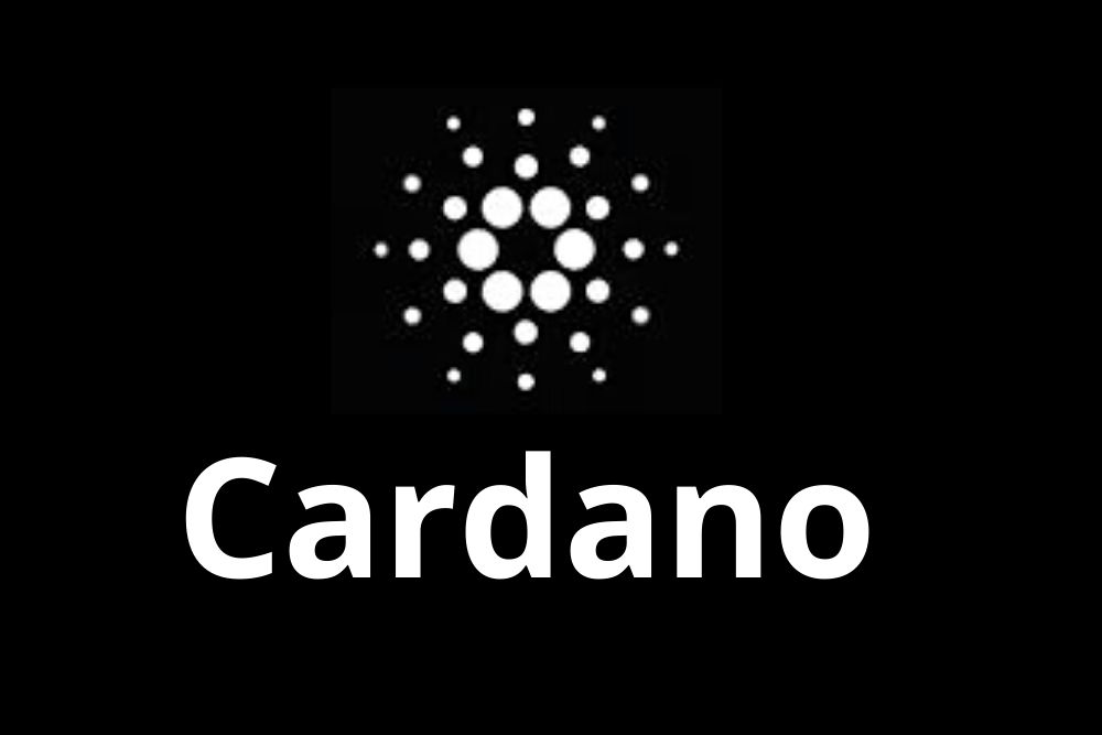 I also speak candidly about our mission here at crypto. Crypto Capital Venture Founder Cardano S Current Trend Is Often A Great Bull Indicator Times Tabloid